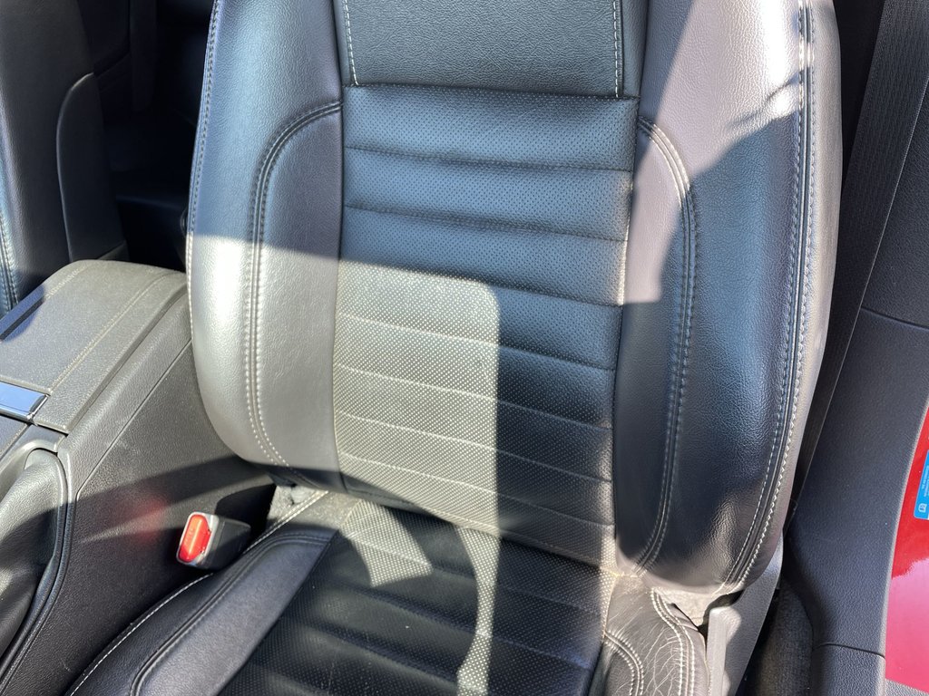 2014 Ford MUSTANG BASE in Saint John, New Brunswick - 19 - w1024h768px