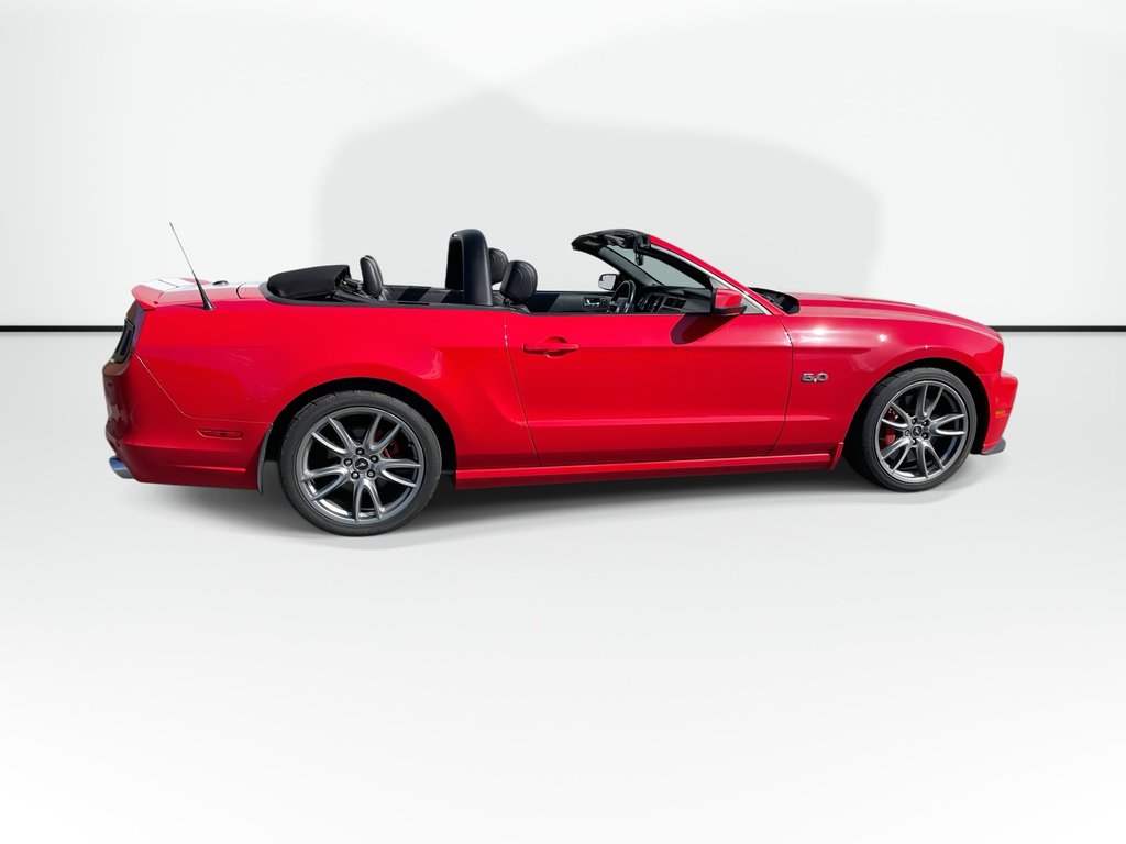 2014 Ford MUSTANG BASE in Saint John, New Brunswick - 4 - w1024h768px