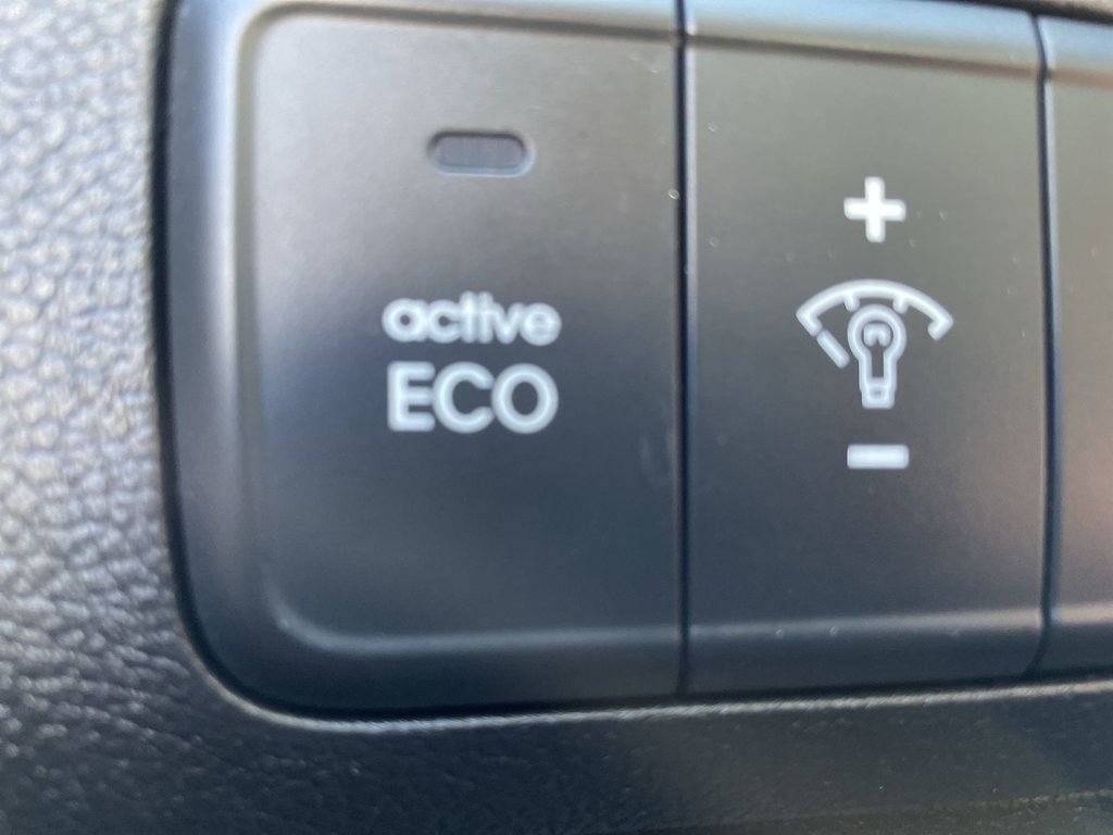 2016 Hyundai ELANTRA SE | Keyless Entry | USB | Power Windows in Saint John, New Brunswick - 37 - w1024h768px