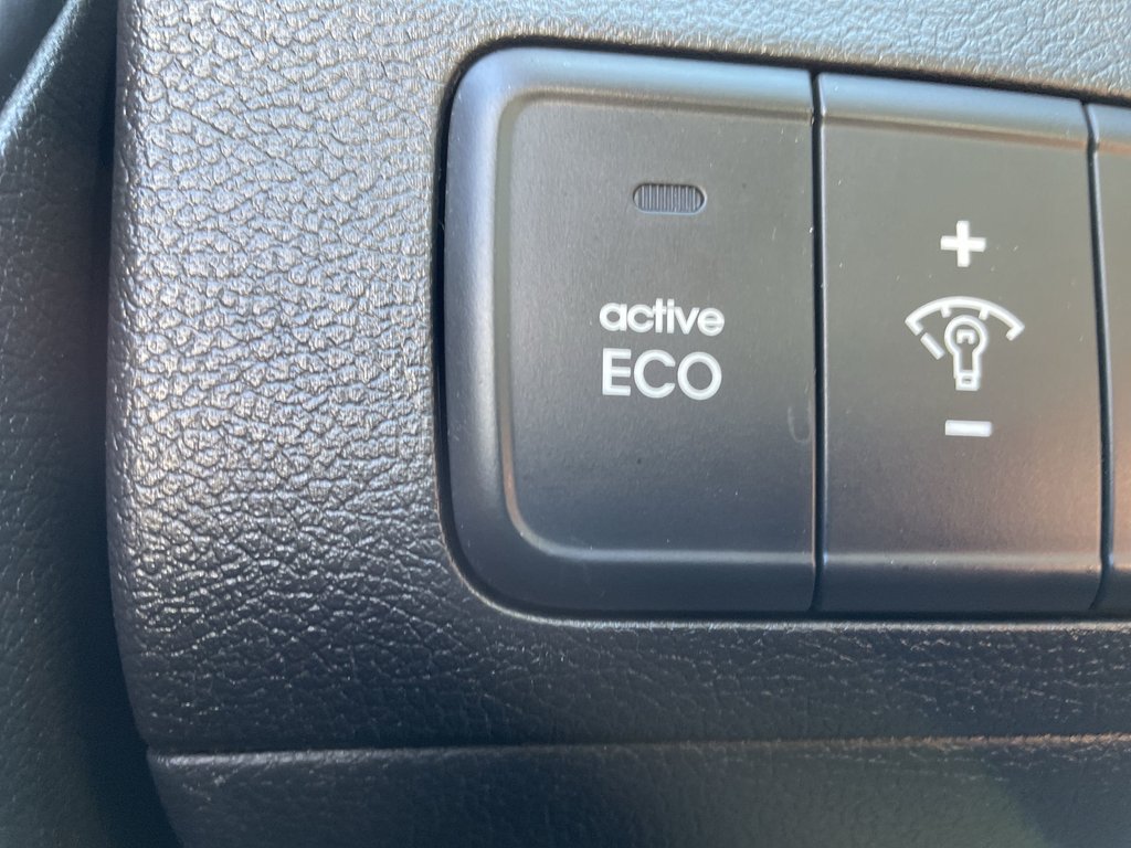 2016 Hyundai ELANTRA SE | Keyless Entry | USB | Power Windows in Saint John, New Brunswick - 28 - w1024h768px