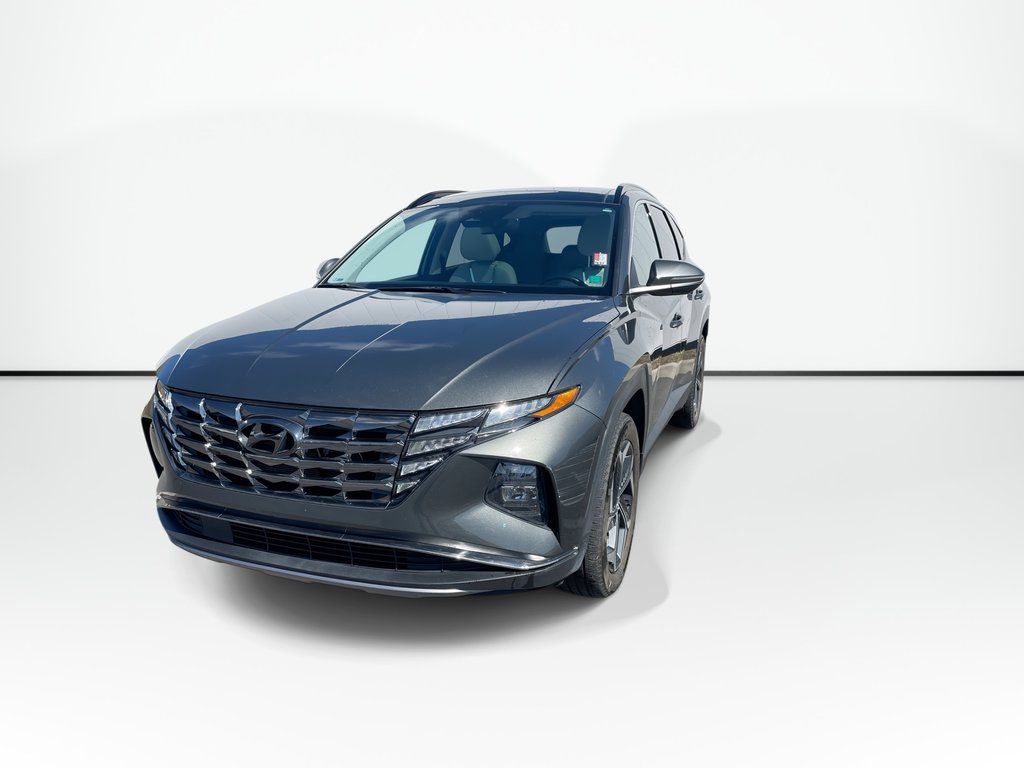 2023 Hyundai TUCSON HYBRID LUXURY | Lthr | Sunroof | Htd Whl | Warrantyto2028 in Saint John, New Brunswick - 7 - w1024h768px