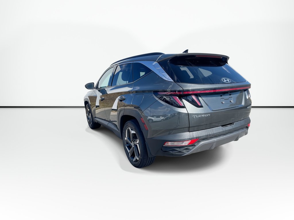 2023 Hyundai TUCSON HYBRID LUXURY | Lthr | Sunroof | Htd Whl | Warrantyto2028 in Saint John, New Brunswick - 9 - w1024h768px