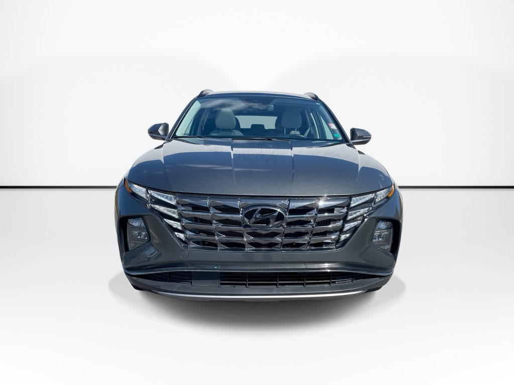 2023 Hyundai TUCSON HYBRID LUXURY | Lthr | Sunroof | Htd Whl | Warrantyto2028 in Saint John, New Brunswick - 6 - w1024h768px