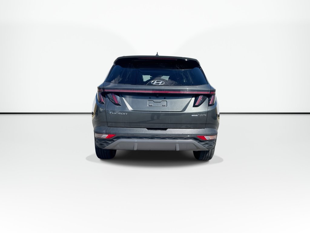 2023 Hyundai TUCSON HYBRID LUXURY | Lthr | Sunroof | Htd Whl | Warrantyto2028 in Saint John, New Brunswick - 2 - w1024h768px
