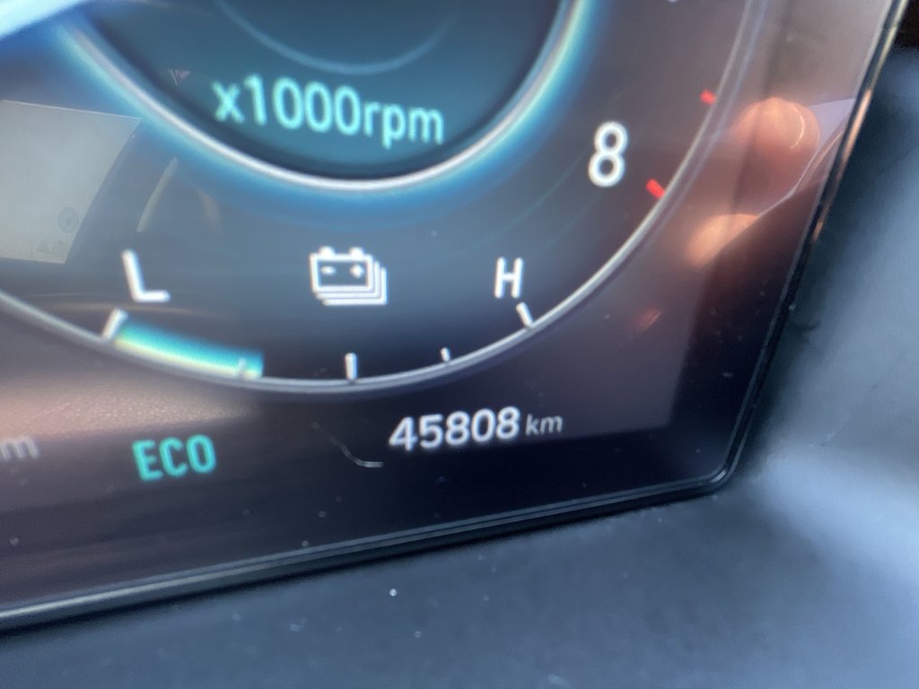 2023 Hyundai TUCSON HYBRID LUXURY | Lthr | Sunroof | Htd Whl | Warrantyto2028 in Saint John, New Brunswick - 29 - w1024h768px