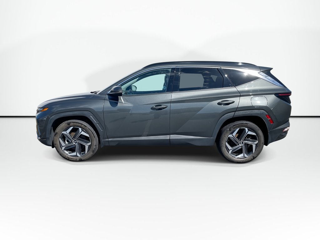 2023 Hyundai TUCSON HYBRID LUXURY | Lthr | Sunroof | Htd Whl | Warrantyto2028 in Saint John, New Brunswick - 8 - w1024h768px