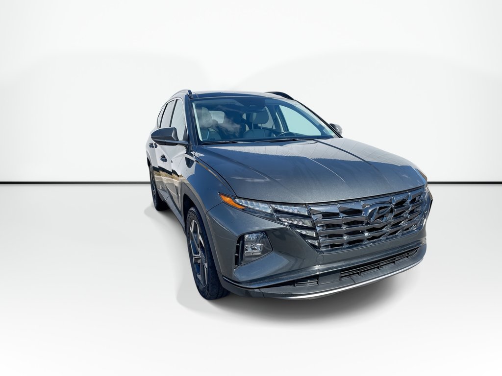 2023 Hyundai TUCSON HYBRID LUXURY | Lthr | Sunroof | Htd Whl | Warrantyto2028 in Saint John, New Brunswick - 5 - w1024h768px