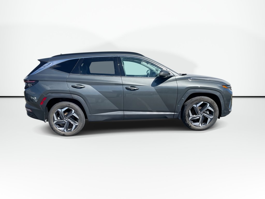 2023 Hyundai TUCSON HYBRID LUXURY | Lthr | Sunroof | Htd Whl | Warrantyto2028 in Saint John, New Brunswick - 4 - w1024h768px