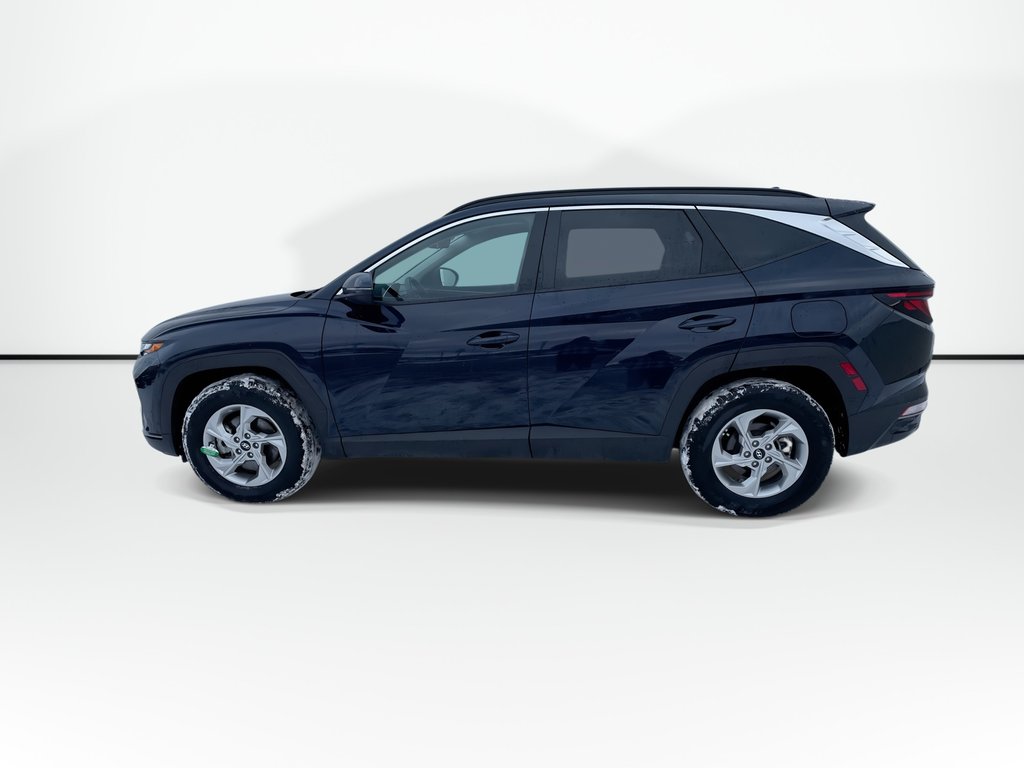 2024 Hyundai TUCSON PREFERRED | Cam | USB | Htd Seat | Warranty to2029 in Saint John, New Brunswick - 8 - w1024h768px