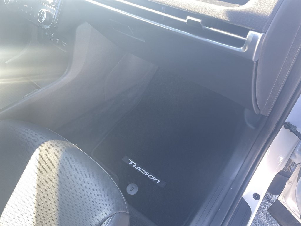 2025 Hyundai TUCSON in Antigonish, Nova Scotia - 50 - w1024h768px