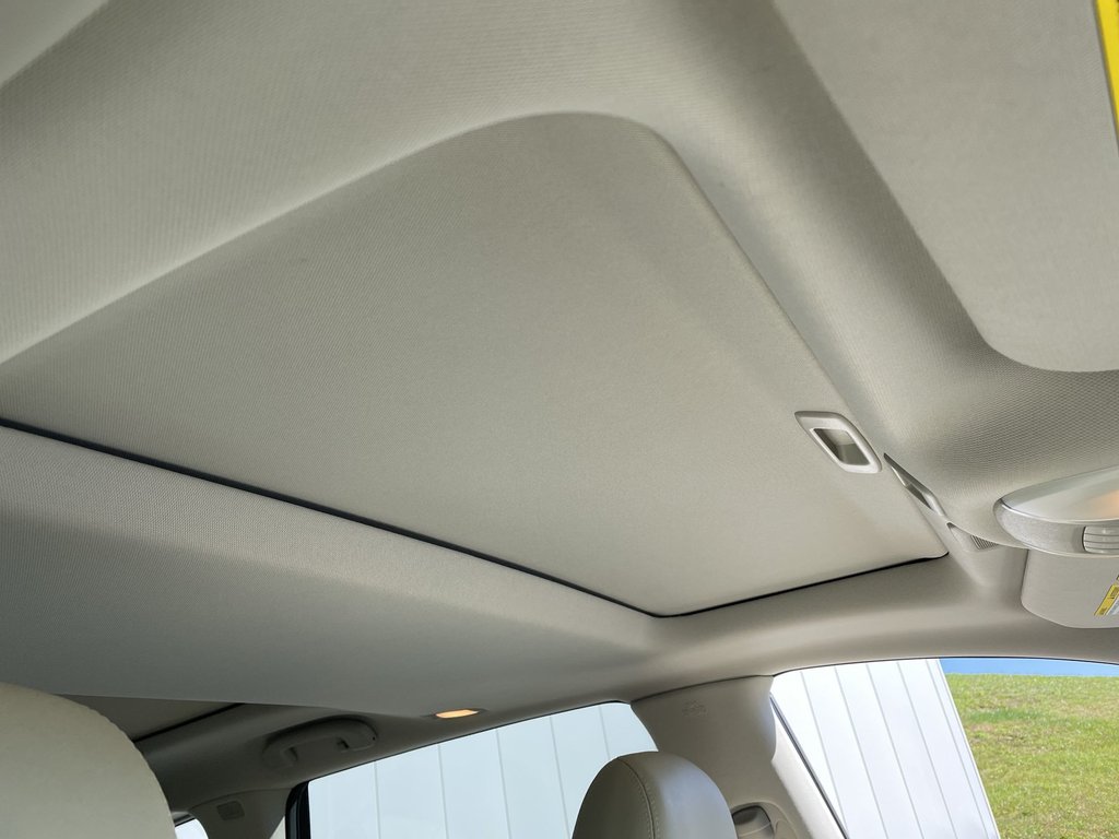2020 Infiniti QX60 PROACTIVE | LEATHER | HTD SEATS | REMOTE START in Saint John, New Brunswick - 53 - w1024h768px
