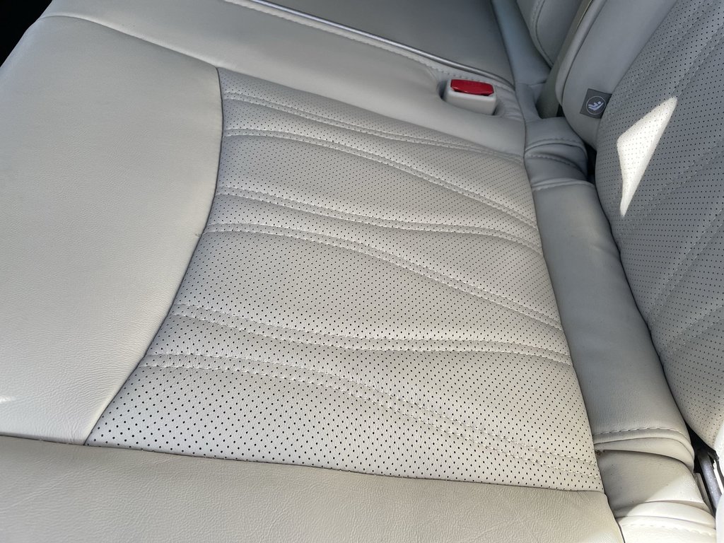 2020 Infiniti QX60 PROACTIVE | LEATHER | HTD SEATS | REMOTE START in Saint John, New Brunswick - 40 - w1024h768px