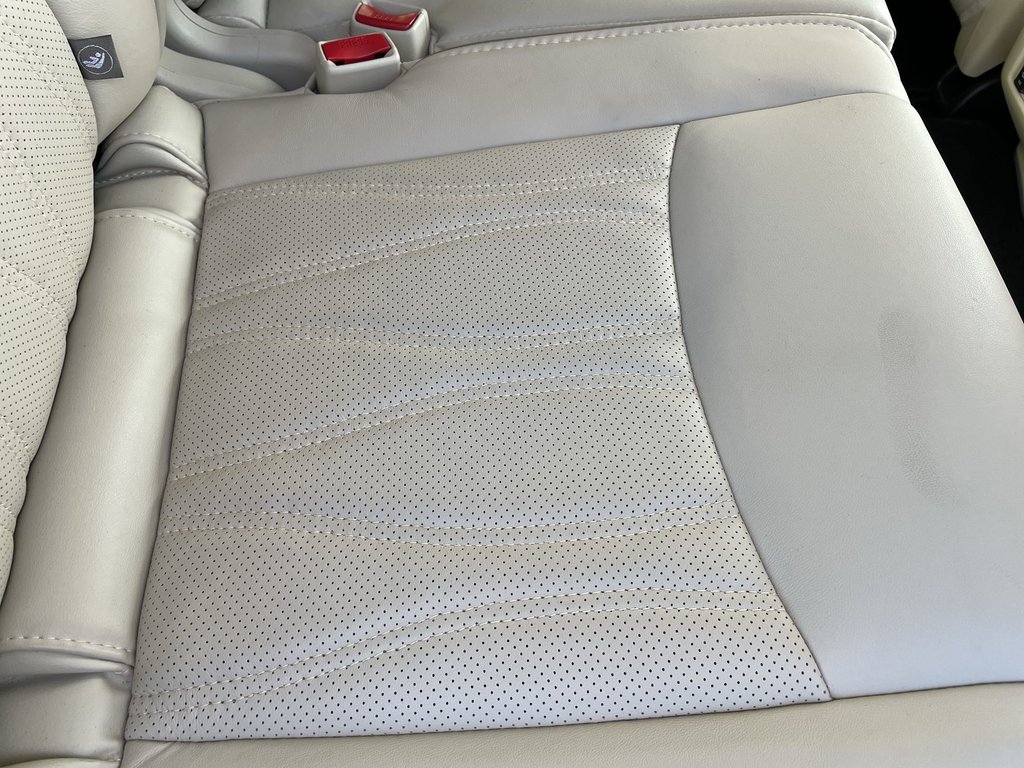 2020 Infiniti QX60 PROACTIVE | LEATHER | HTD SEATS | REMOTE START in Saint John, New Brunswick - 46 - w1024h768px