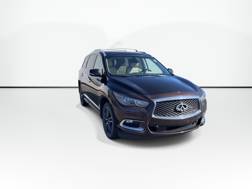 2020 Infiniti QX60 PROACTIVE | LEATHER | HTD SEATS | REMOTE START in Saint John, New Brunswick - 3 - w1024h768px