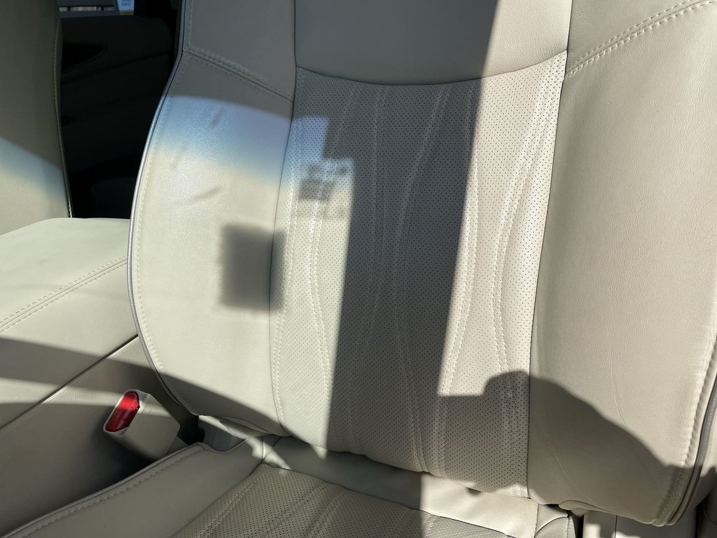 2020 Infiniti QX60 PROACTIVE | LEATHER | HTD SEATS | REMOTE START in Saint John, New Brunswick - 19 - w1024h768px