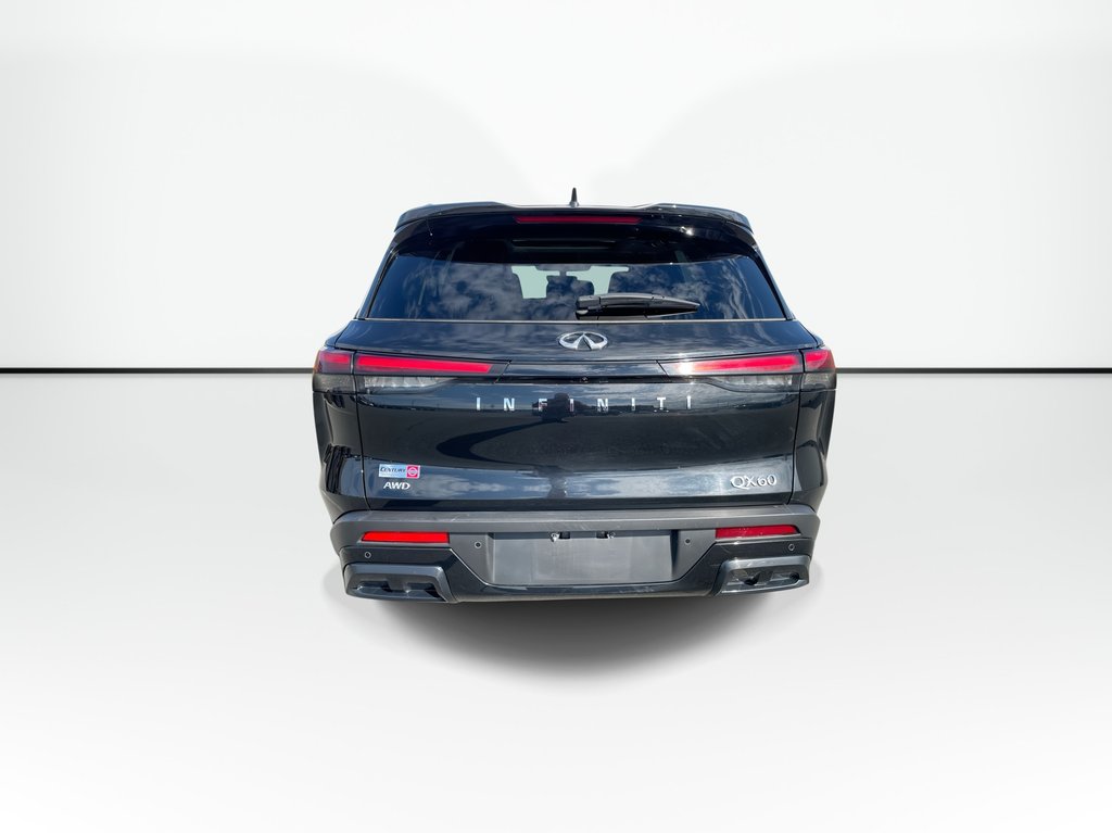 2025 Infiniti QX60 Leather | Nav | USB | HtdSeats | Warranty to 2029 in Saint John, New Brunswick - 2 - w1024h768px