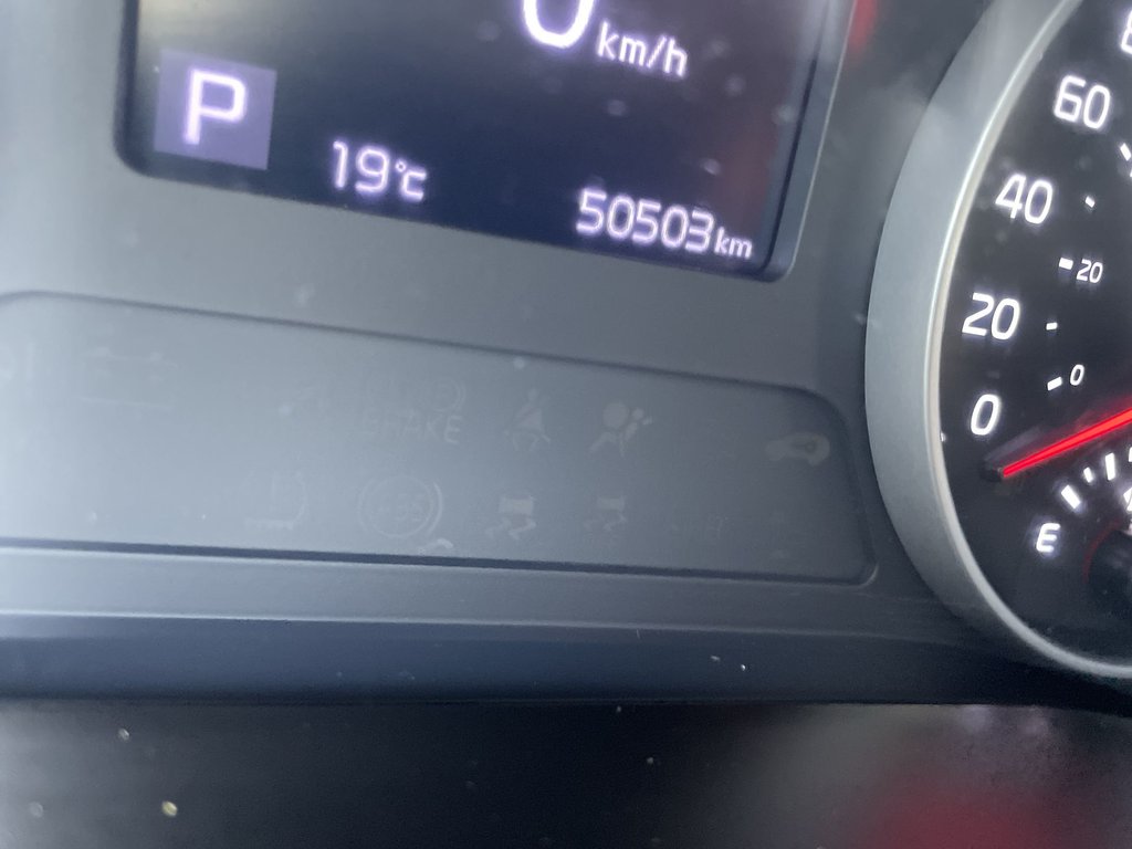 2023 Kia SELTOS EX | Htd Seats | Keyless | Cam | Warranty to 2028 in Saint John, New Brunswick - 29 - w1024h768px