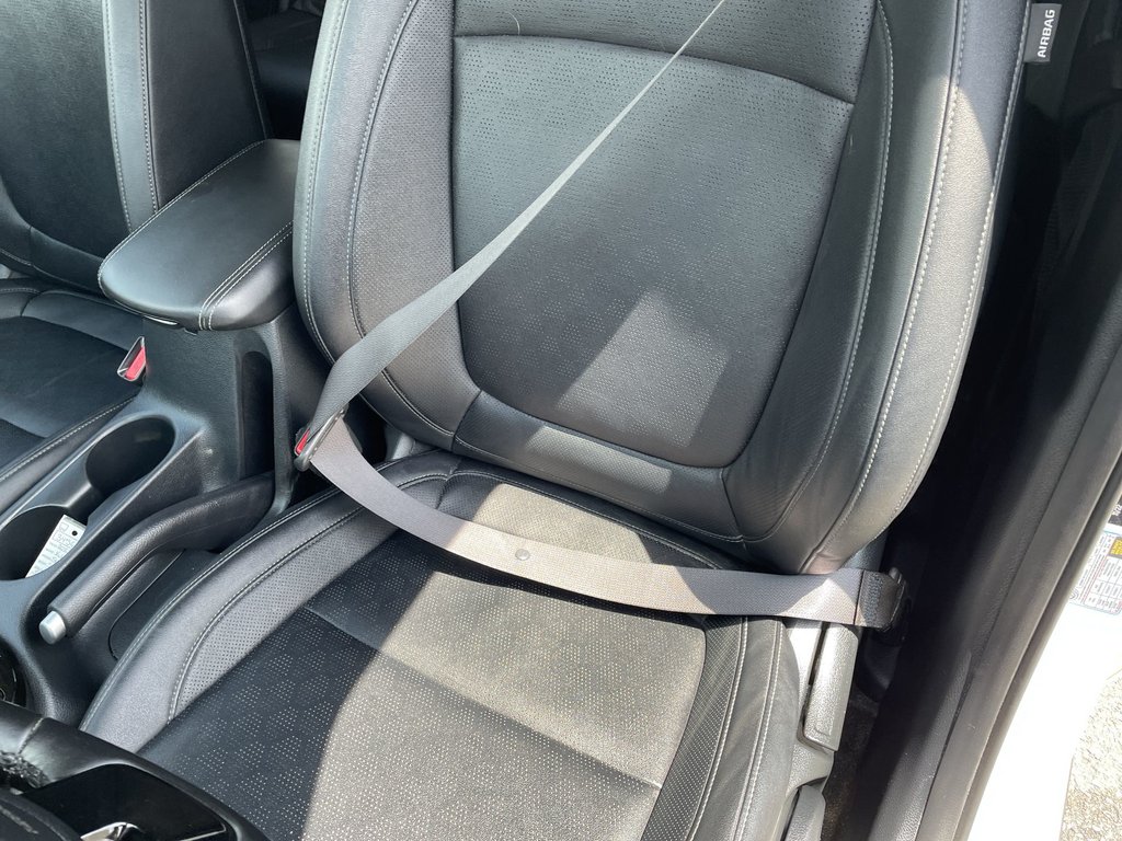 2023 Kia SELTOS EX | Htd Seats | Keyless | Cam | Warranty to 2028 in Saint John, New Brunswick - 17 - w1024h768px