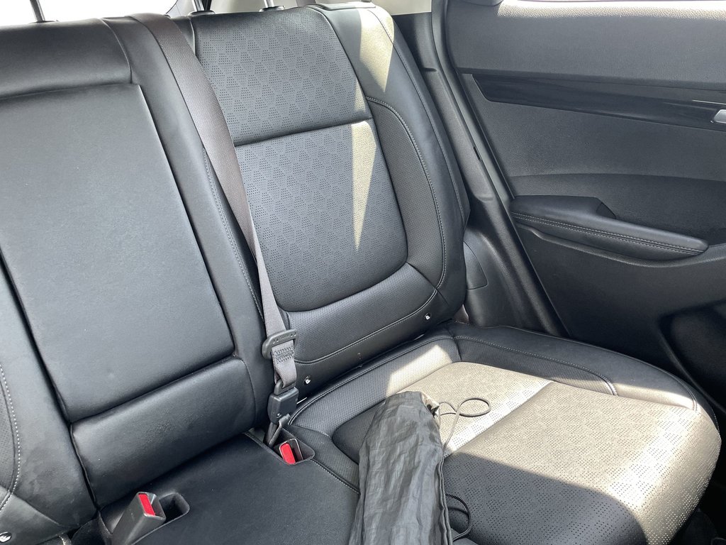 2023 Kia SELTOS EX | Htd Seats | Keyless | Cam | Warranty to 2028 in Saint John, New Brunswick - 12 - w1024h768px