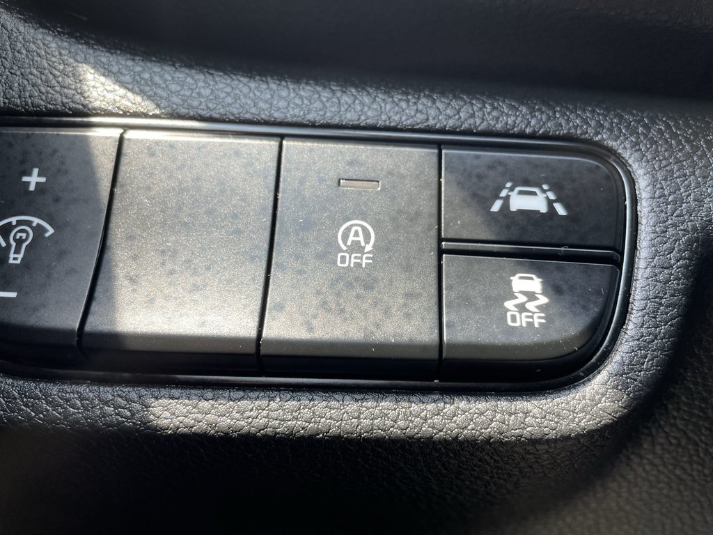 2023 Kia SELTOS EX | Htd Seats | Keyless | Cam | Warranty to 2028 in Saint John, New Brunswick - 28 - w1024h768px