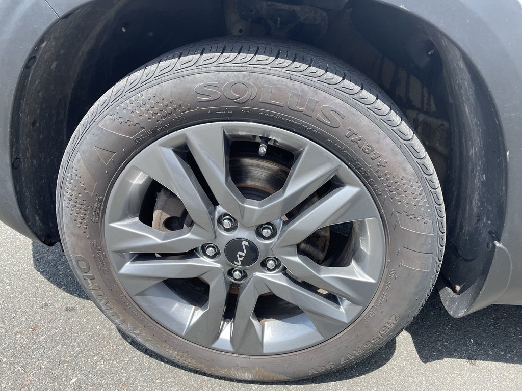 2023 Kia SELTOS EX | Htd Seats | Keyless | Cam | Warranty to 2028 in Saint John, New Brunswick - 16 - w1024h768px