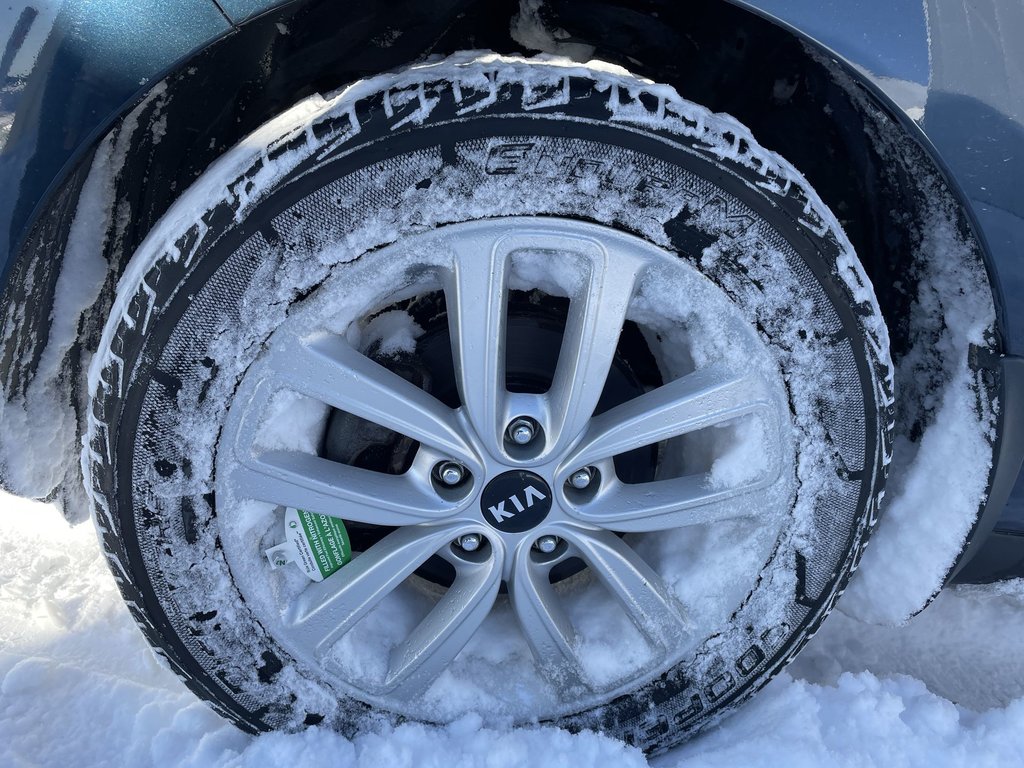 2018 Kia Soul EX | Backup Cam | USB | Bluetooth in Saint John, New Brunswick - 16 - w1024h768px