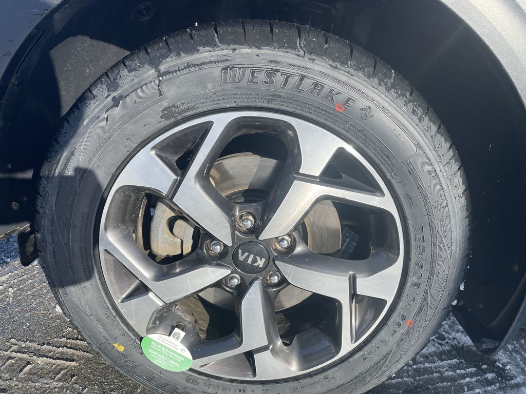 2022 Kia Sportage in Antigonish, Nova Scotia - 16 - w1024h768px