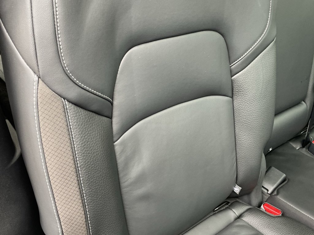 2024 Nissan Pathfinder SL | 7-Pass | Leather | MoonRoof | SafetyShield360 in Saint John, New Brunswick - 45 - w1024h768px