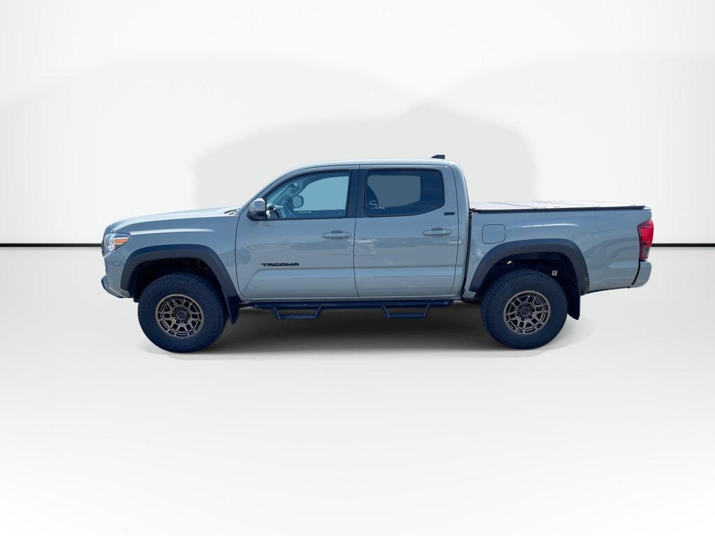 2022 Toyota TACOMA SR5 Trail Edition | Htd Seats | Backup Cam | USB in Saint John, New Brunswick - 8 - w1024h768px