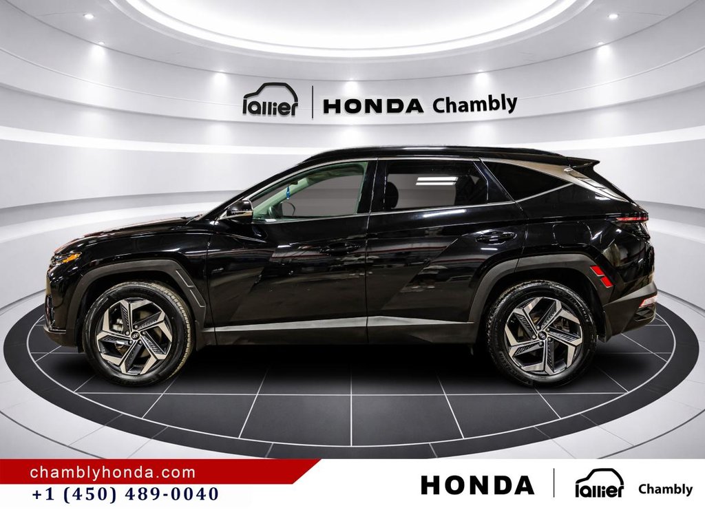 2024 Hyundai Tucson Hybrid Luxury AWD LEATHER I PANORAMIC SUNROOF I HEATED SEATS & STEERING WHEEL  I STARTER I ACTIVE SECURITY in Montréal, Quebec - 4 - w1024h768px