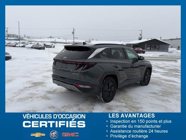 Hyundai Tucson Hybrid Luxury 2024 à Chibougamau, Québec - 6 - w1024h768px