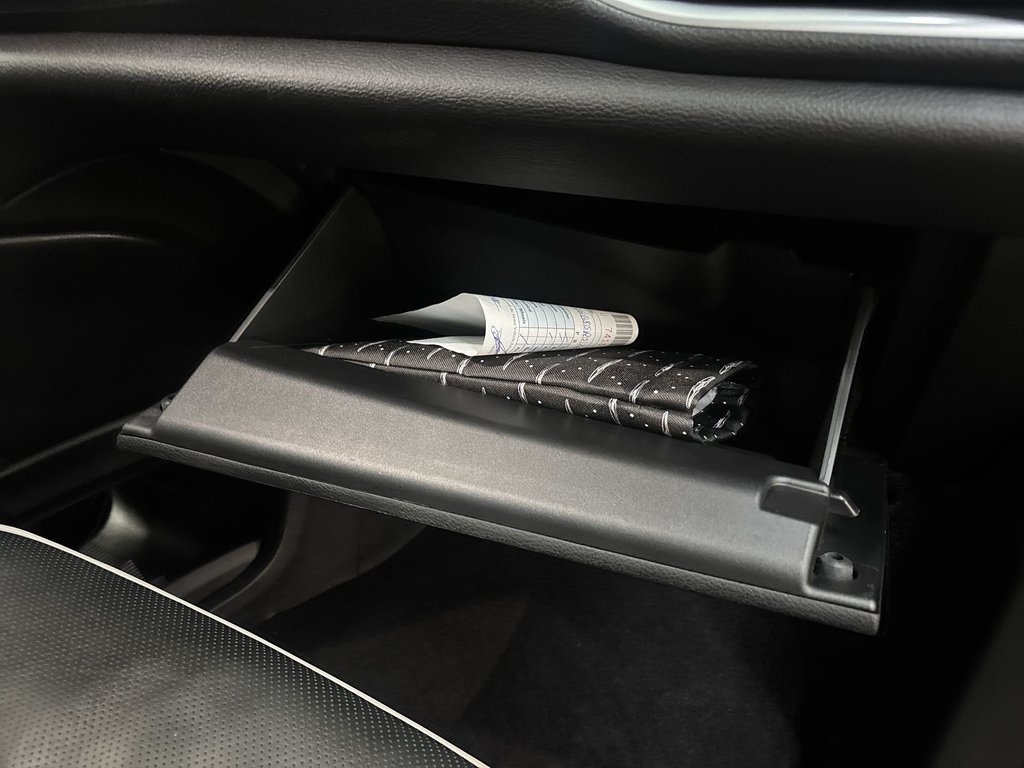 2025 Chrysler Pacifica Limited | Leather | Roof | Nav | Cam | USB in Saint John, New Brunswick - 43 - w1024h768px