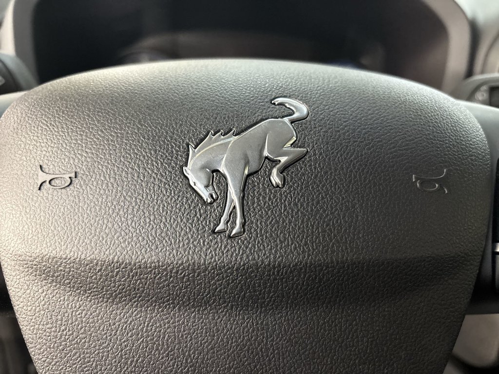 2023 Ford Bronco Sport in Antigonish, Nova Scotia - 19 - w1024h768px