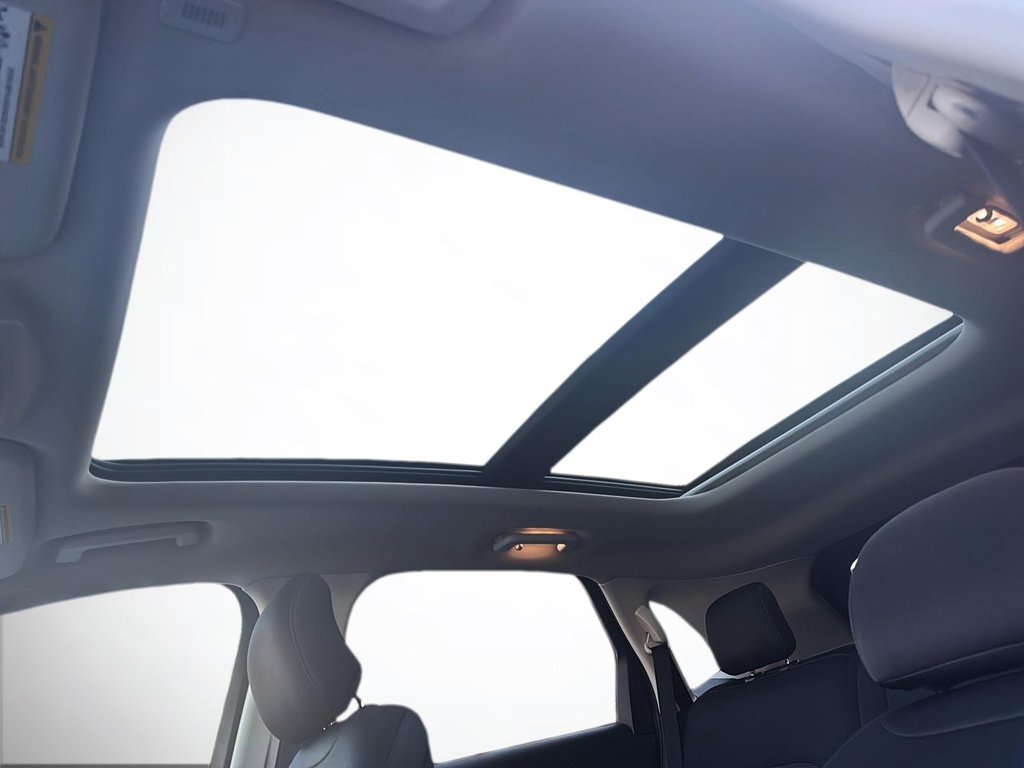 2019 Ford Edge in Antigonish, Nova Scotia - 23 - w1024h768px