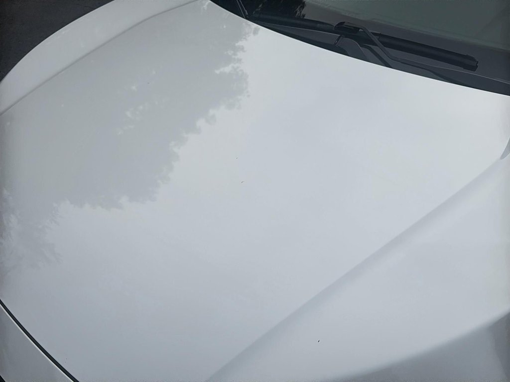 2019 Honda Civic Sedan EX | Roof | Cam | USB | HtdSeats | Bluetooth in Saint John, New Brunswick - 61 - w1024h768px