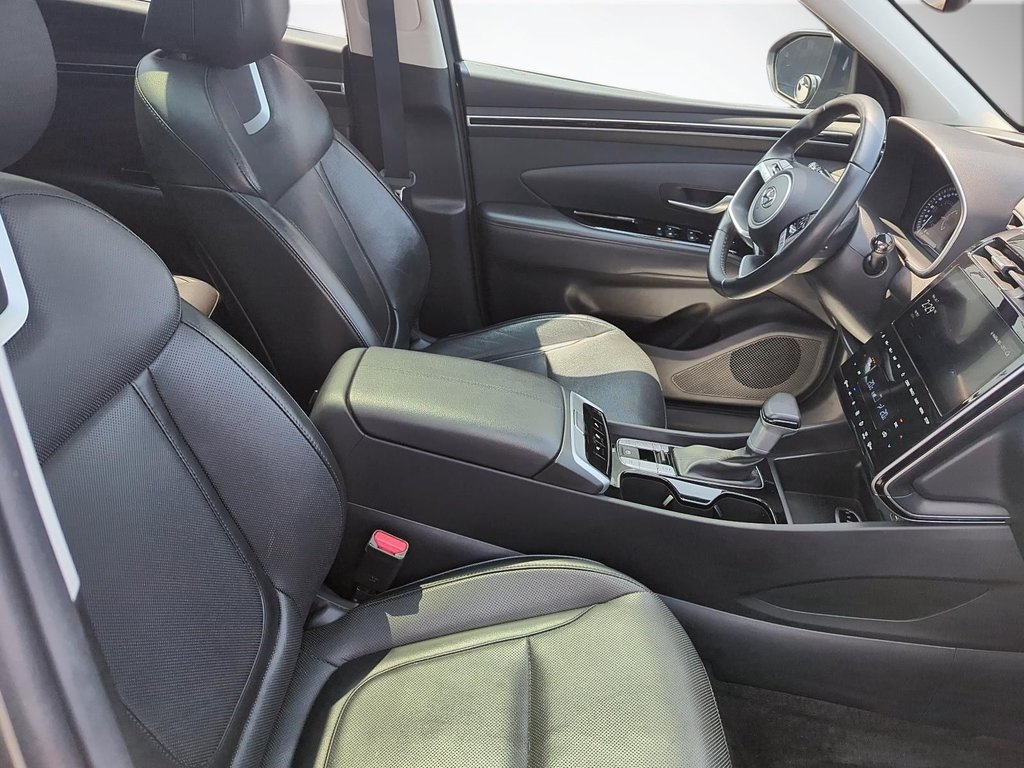 2023 Hyundai Tucson Urban Edition | Leather | Roof | Cam | USB in Saint John, New Brunswick - 10 - w1024h768px