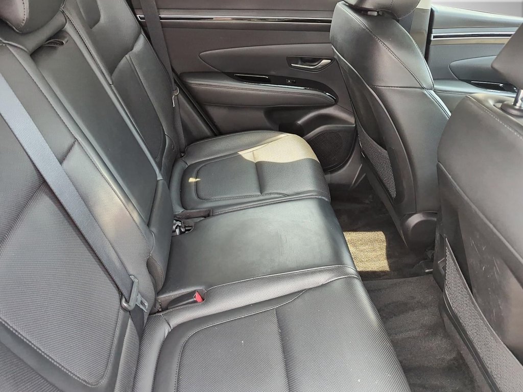 2023 Hyundai Tucson Urban Edition | Leather | Roof | Cam | USB in Saint John, New Brunswick - 48 - w1024h768px