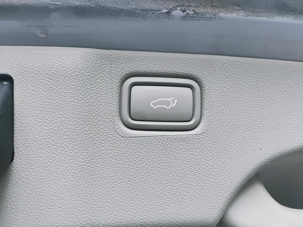 2020 Kia Sedona LX | Cam | USB | Bluetooth | Keyless in Saint John, New Brunswick - 49 - w1024h768px