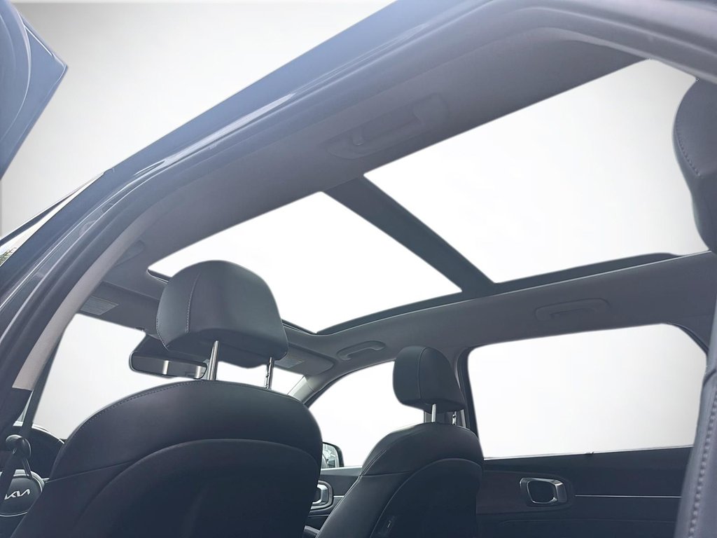 2022 Kia Sorento EX+ | Leather | Roof | Nav | Cam | USB | HtdWheel in Saint John, New Brunswick - 43 - w1024h768px