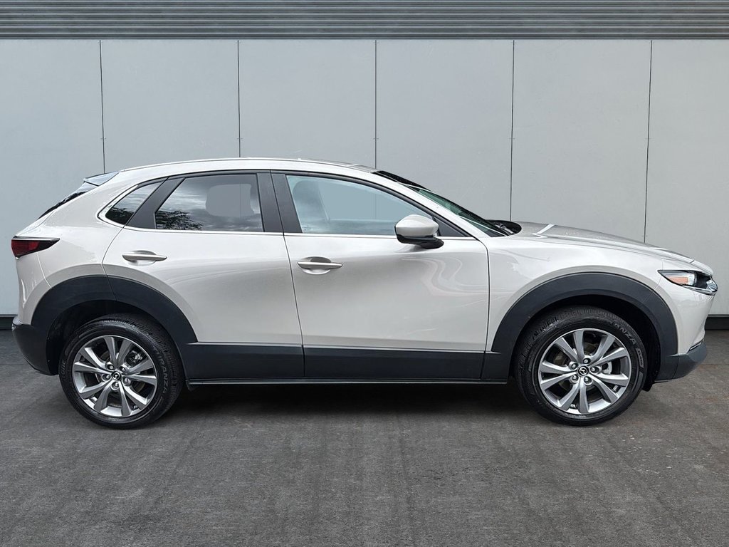2022 Mazda CX-30 GS | Leather | Sunroof | Cam | USB | HtdWheel in Saint John, New Brunswick - 6 - w1024h768px