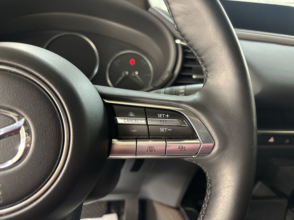 2022 Mazda CX-30 in Antigonish, Nova Scotia - 21 - w1024h768px