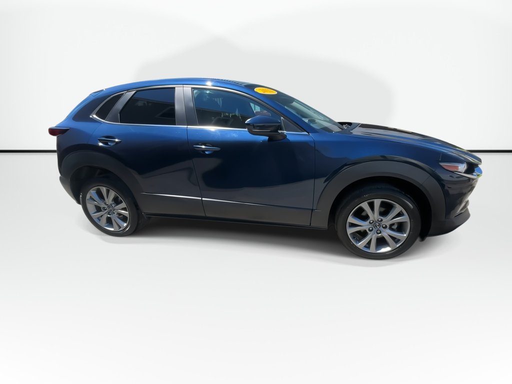 2022 Mazda CX-30 GS | Cam | USB | HtdSeats | XM | Bluetooth in Saint John, New Brunswick - 9 - w1024h768px
