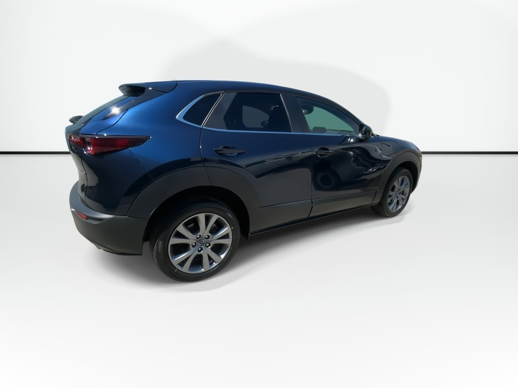 2022 Mazda CX-30 GS | Cam | USB | HtdSeats | XM | Bluetooth in Saint John, New Brunswick - 8 - w1024h768px