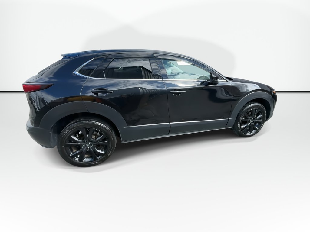 Mazda CX-30 GT w/Turbo | Leather | Roof | Nav | Cam | USB 2023 à Saint John, Nouveau-Brunswick - 9 - w1024h768px
