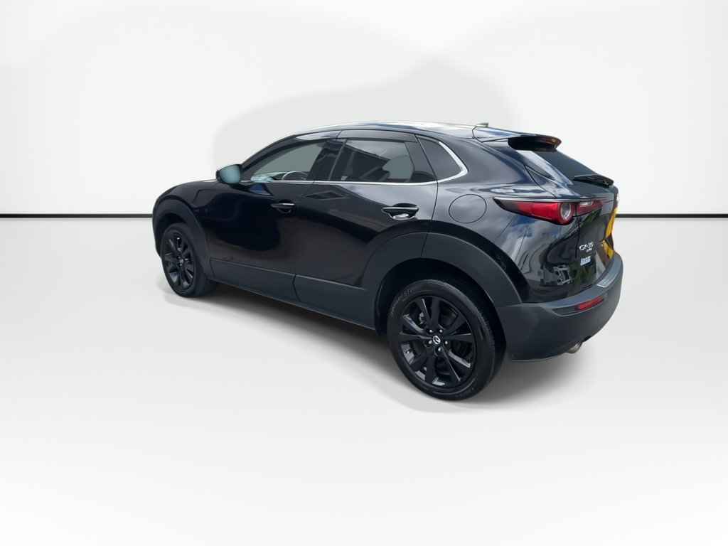 Mazda CX-30 GT w/Turbo | Leather | Roof | Nav | Cam | USB 2023 à Saint John, Nouveau-Brunswick - 6 - w1024h768px