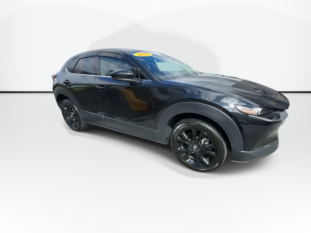 Mazda CX-30 GT w/Turbo | Leather | Roof | Nav | Cam | USB 2023 à Saint John, Nouveau-Brunswick - 2 - w1024h768px