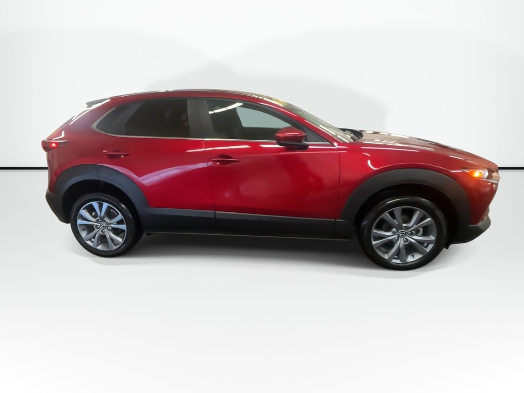 2023 Mazda CX-30 GS | Cam | USB | HtdSeats | XM | Bluetooth in Saint John, New Brunswick - 9 - w1024h768px