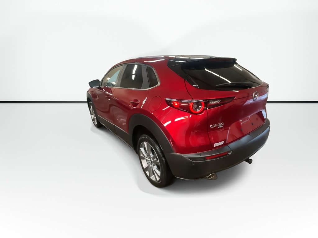 2023 Mazda CX-30 GS | Cam | USB | HtdSeats | XM | Bluetooth in Saint John, New Brunswick - 6 - w1024h768px