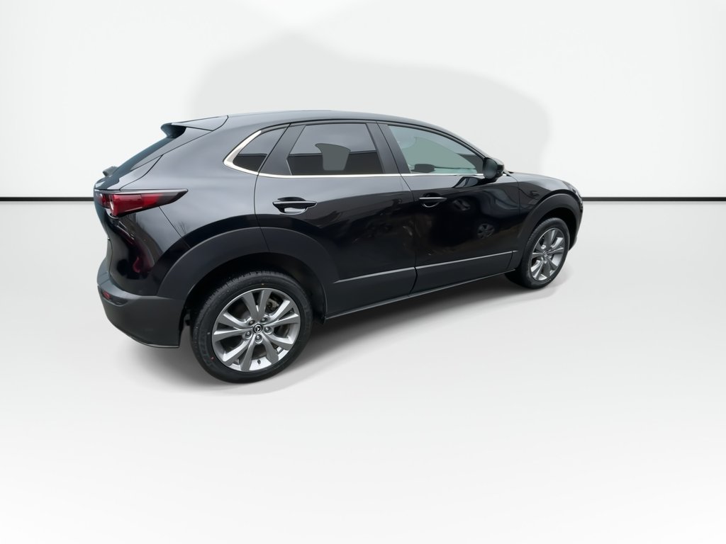 2024 Mazda CX-30 in Antigonish, Nova Scotia - 8 - w1024h768px