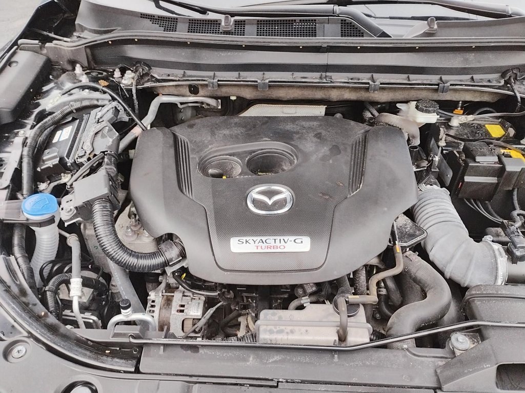 2021 Mazda CX-5 Signature | Leather | Roof | Nav | Cam | USB in Saint John, New Brunswick - 12 - w1024h768px